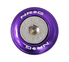 NRG フェンダーワッシャー 樹脂面用 10個セット